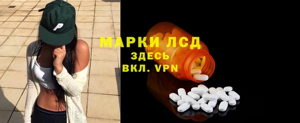 сатива Надым