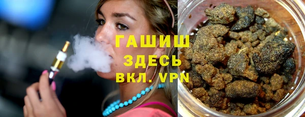 сатива Надым